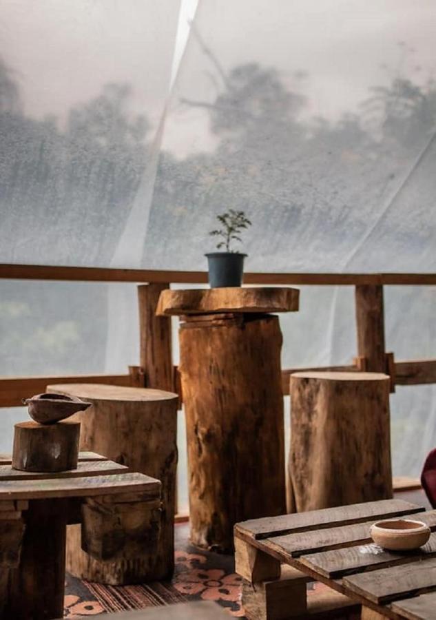 Tree House Cafe *