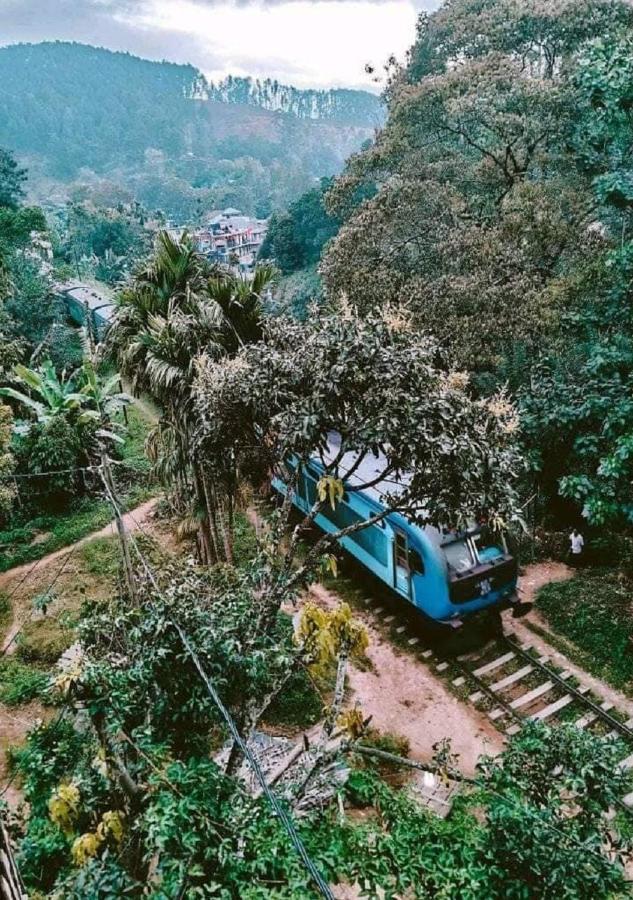 Hostel Tree House Cafe