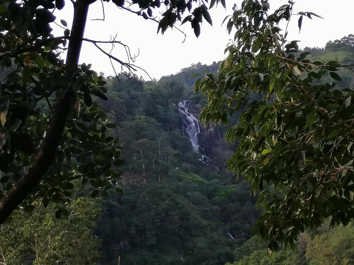 Homestay Super View