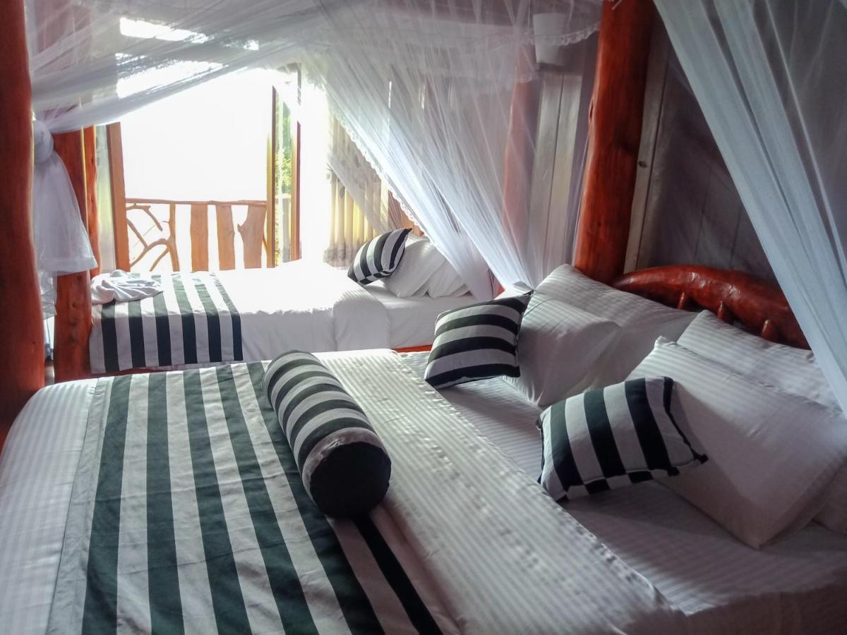 Chill Wood Homestay Ella