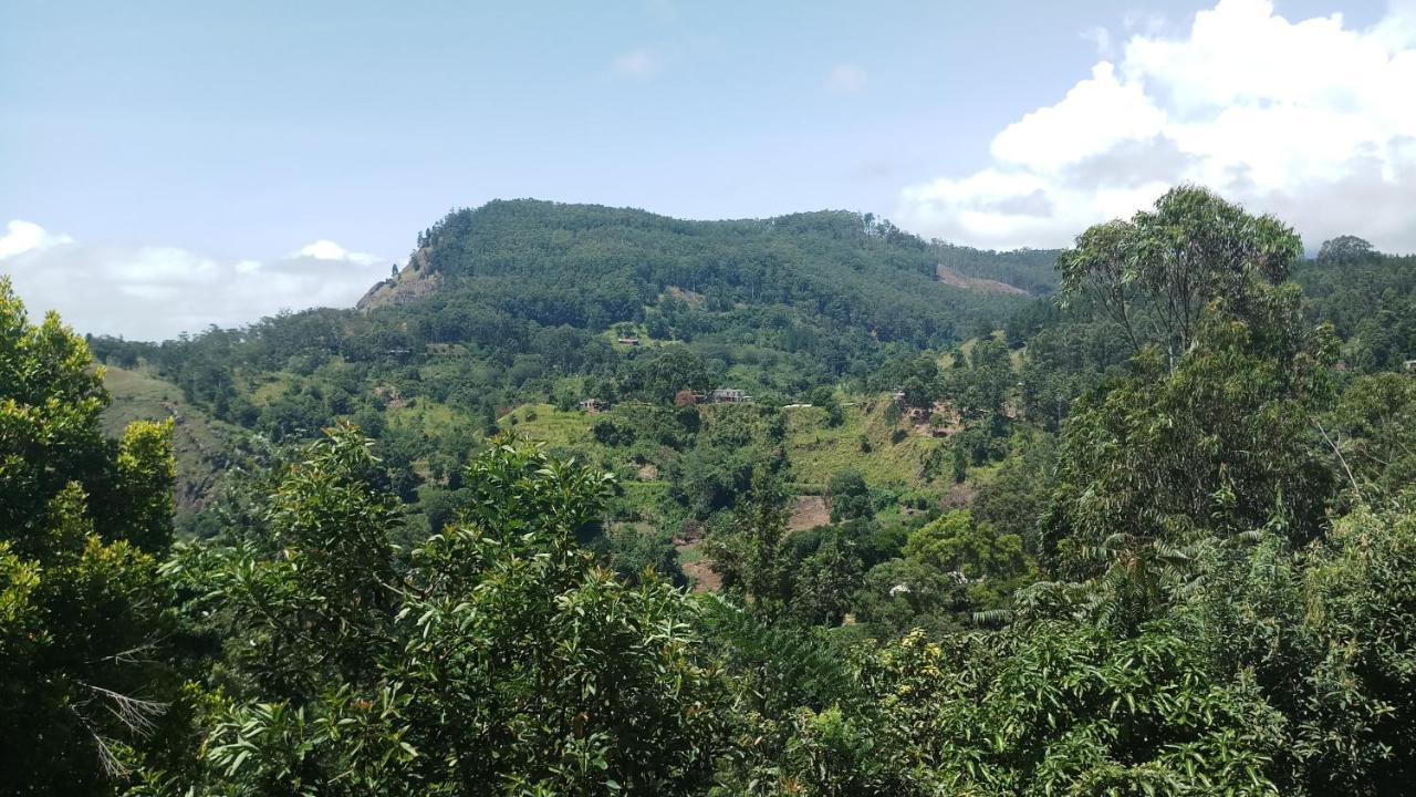 Chill Wood Homestay *