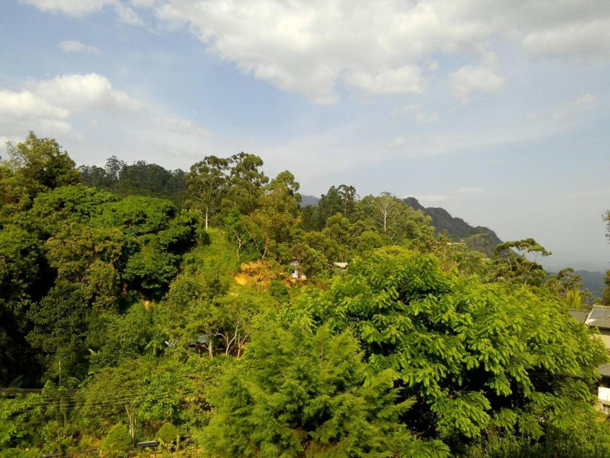 View Inn