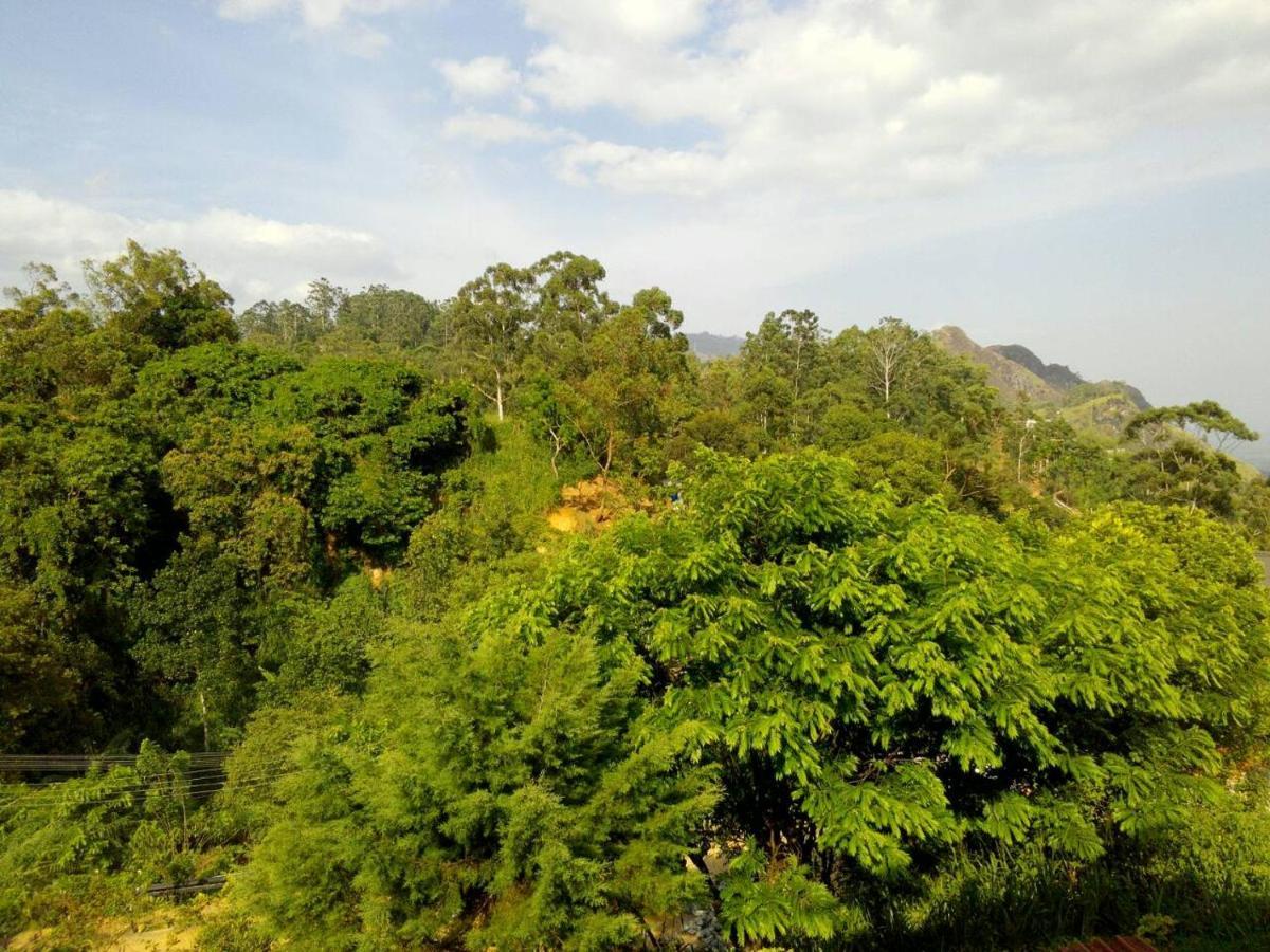 View Ella