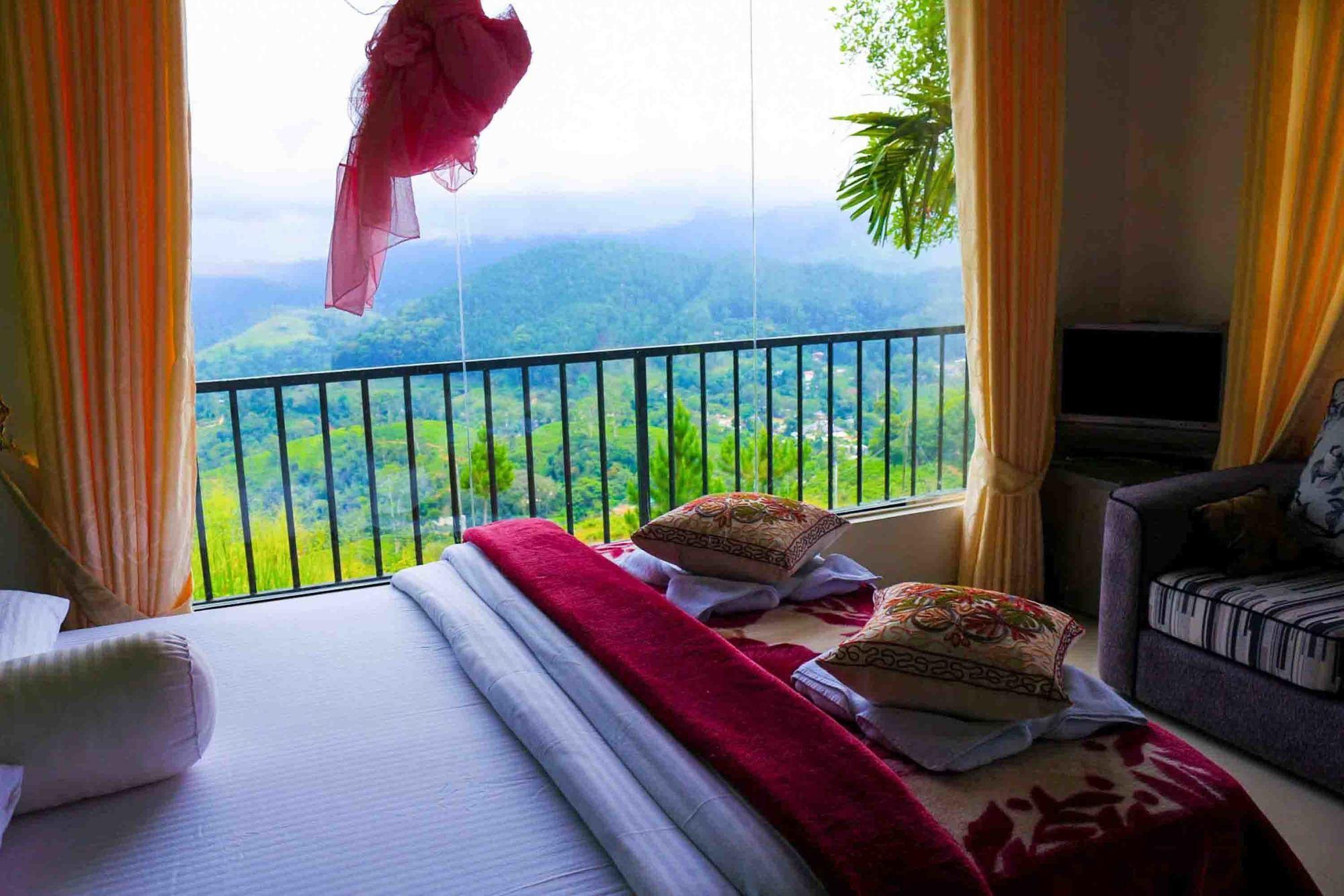 Hostel Hill Forest