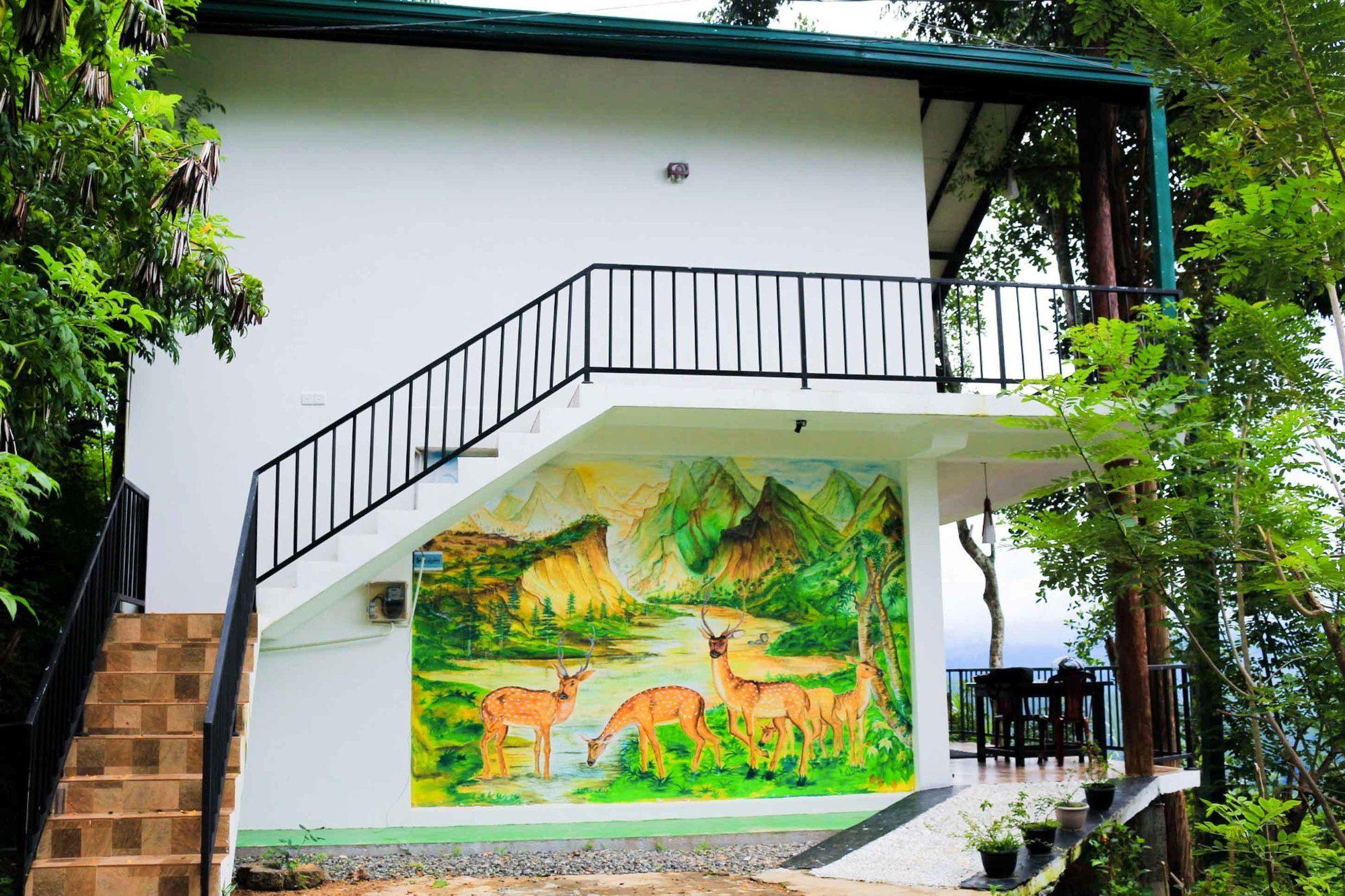 Hill Forest Hostel Ella