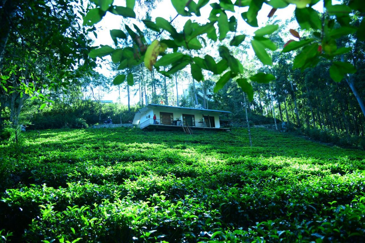 Wood Guest house