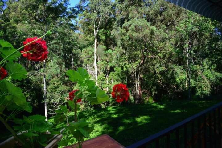 Guest house Wood *