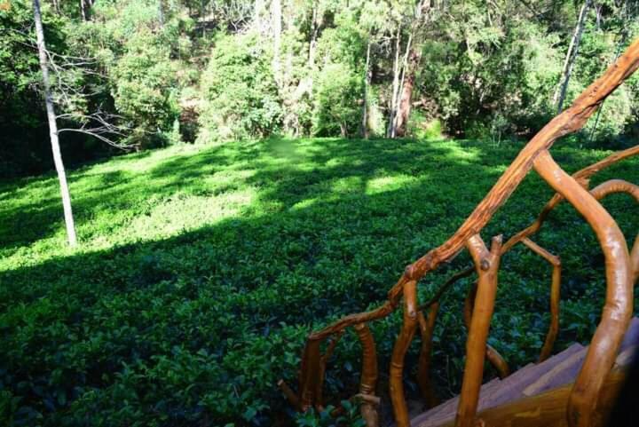 Wood Guest house Ella