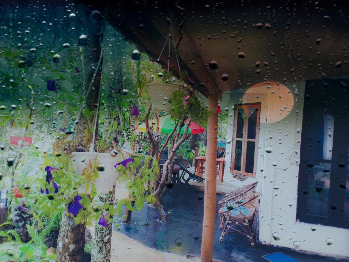 Walkers Nest Guest house *