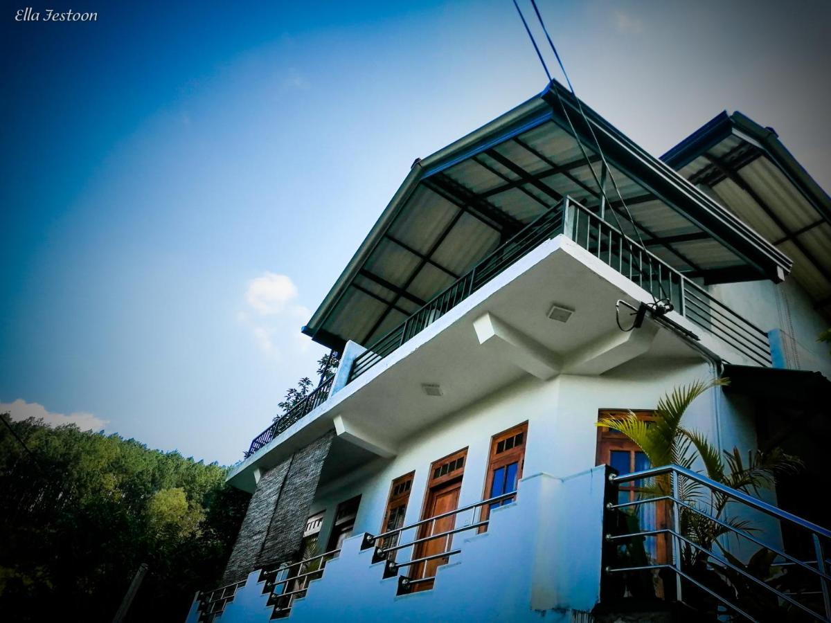 Homestay Festoon