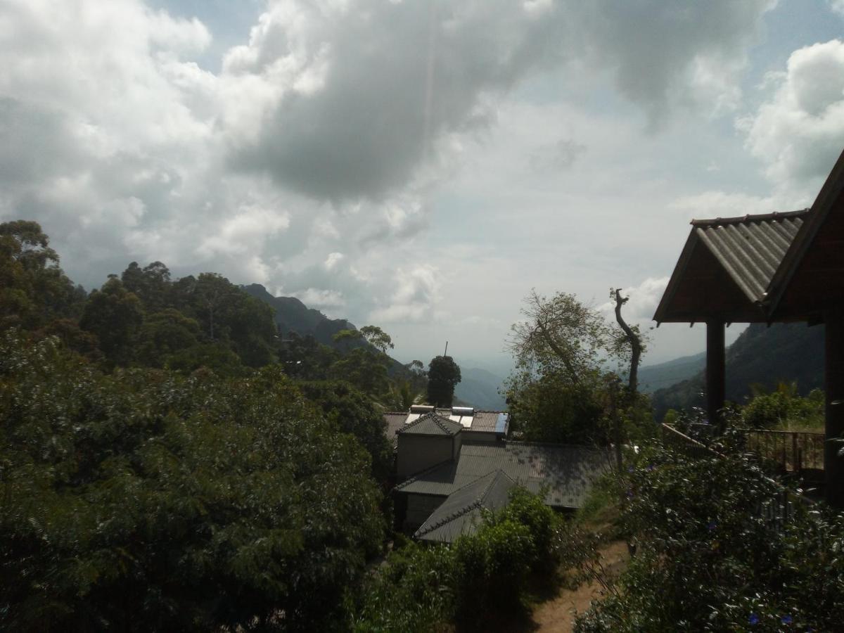 View *