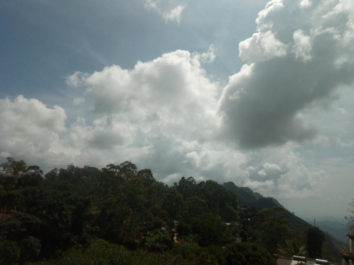 View * Ella