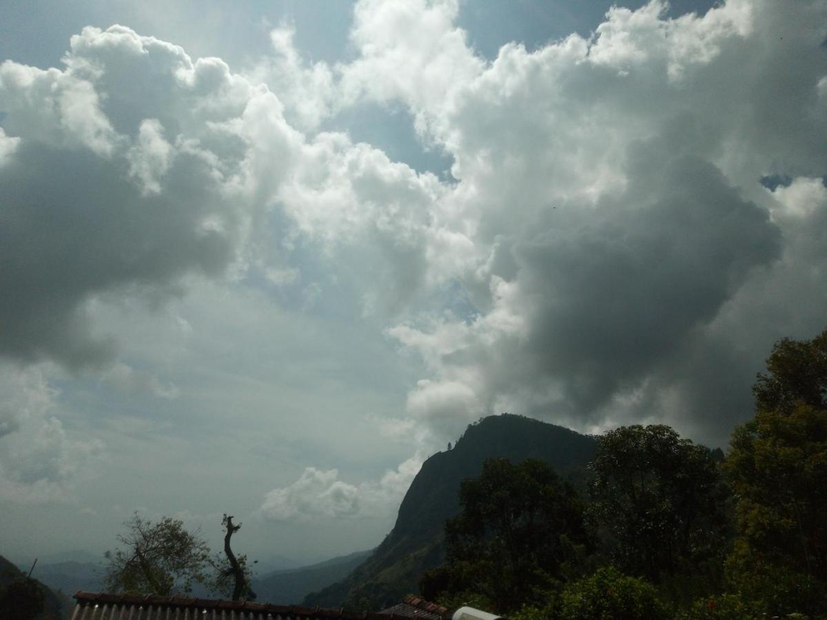 View Inn *