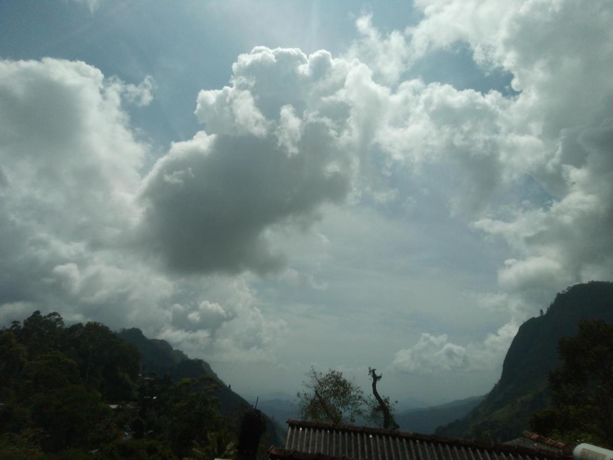 View Ella
