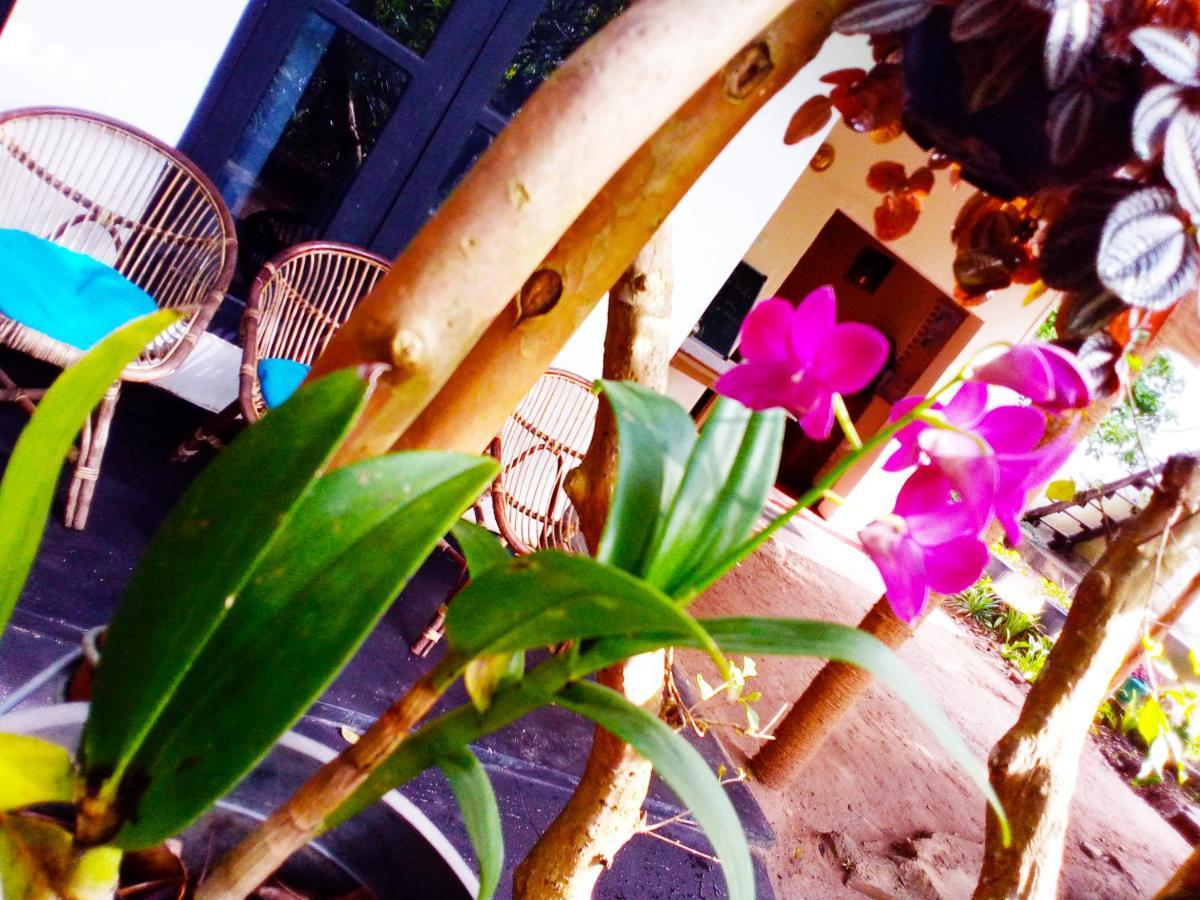Guest house Walkers Nest *