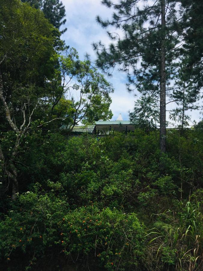 Guest house Wood *