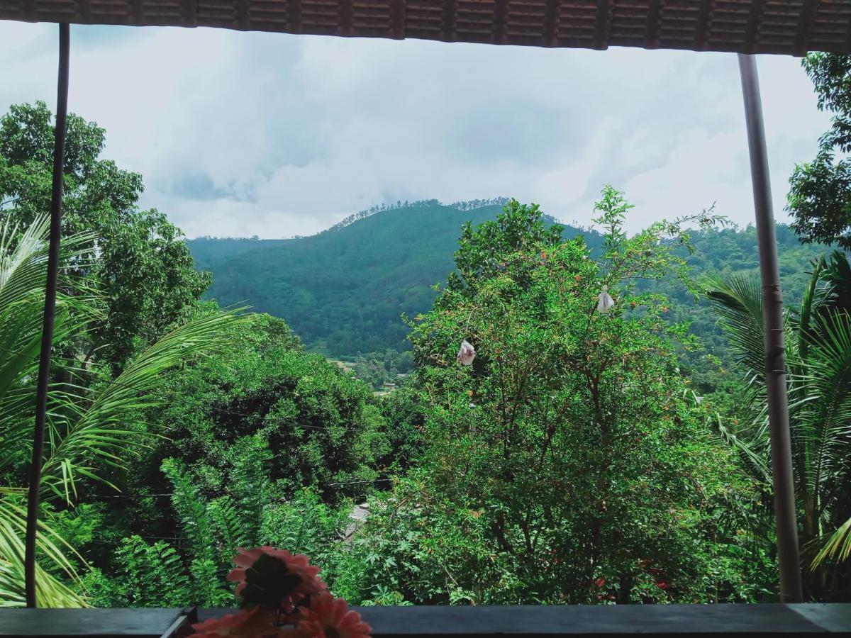 Misty View