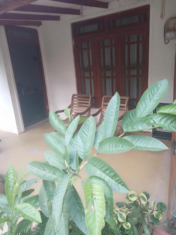 Supipi Homestay