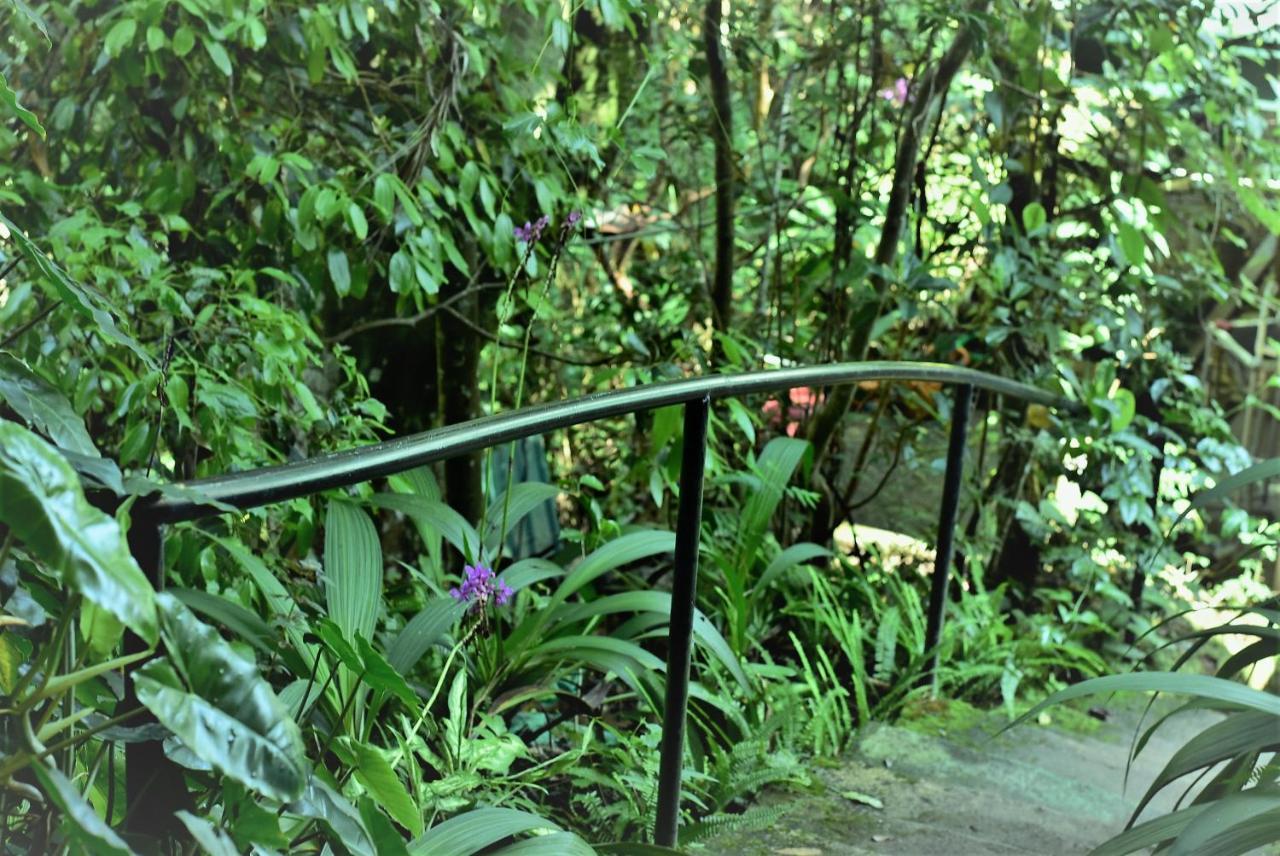 Samadhi Nature Resort 3*