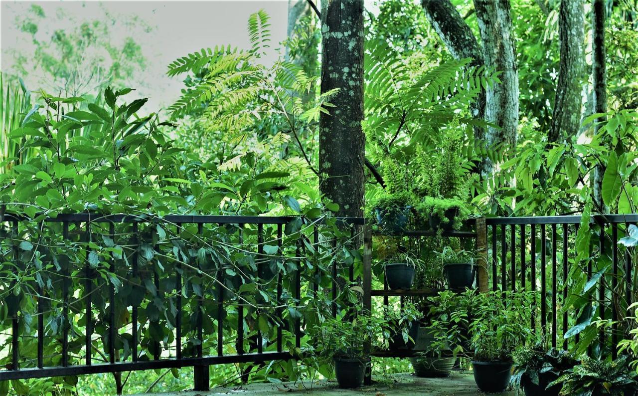 Samadhi Nature Resort