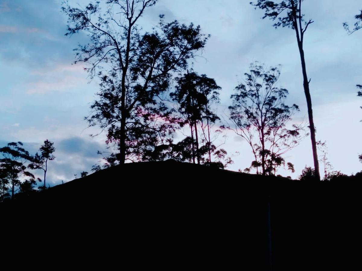 Tea Land View Homestay Ella