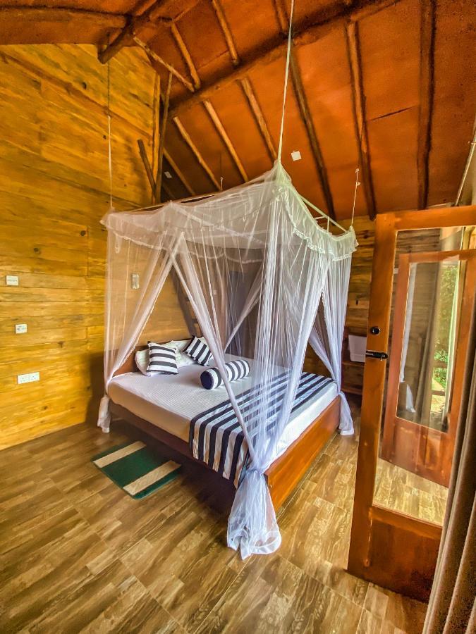 Bed & Breakfast 100 View