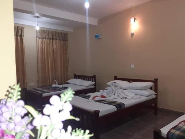 Anura Guest