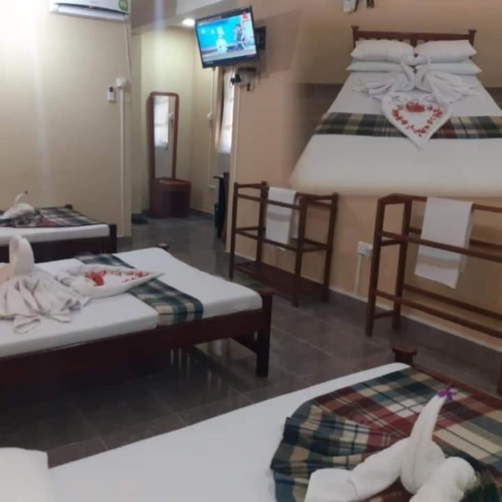 Guest house Anura Guest 3*