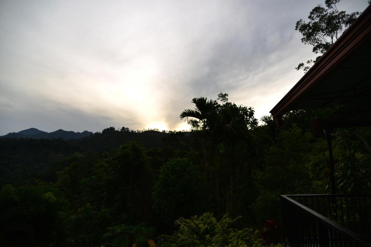Panorama * Ella