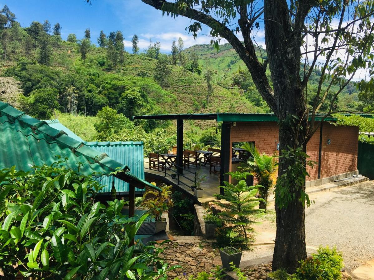 Guest house Wild