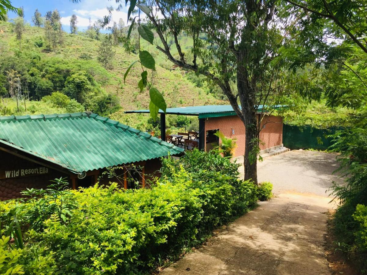 Guest house Wild