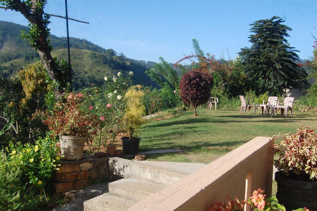 The View 3*