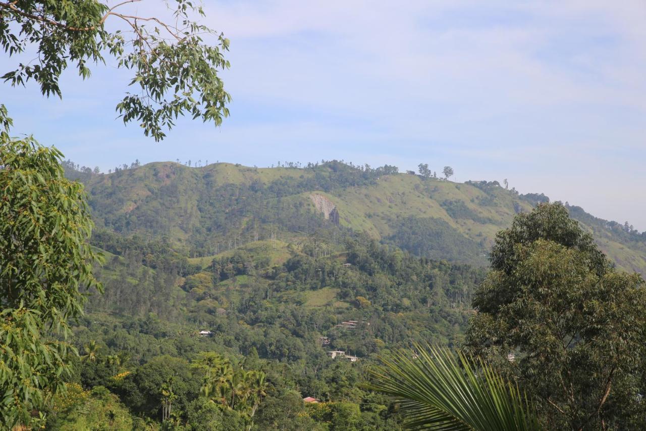 Homestay 9 Arch View Rest *