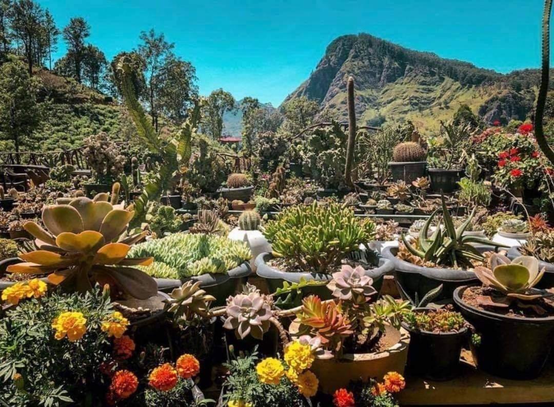 Flower Garden Hotel 4*