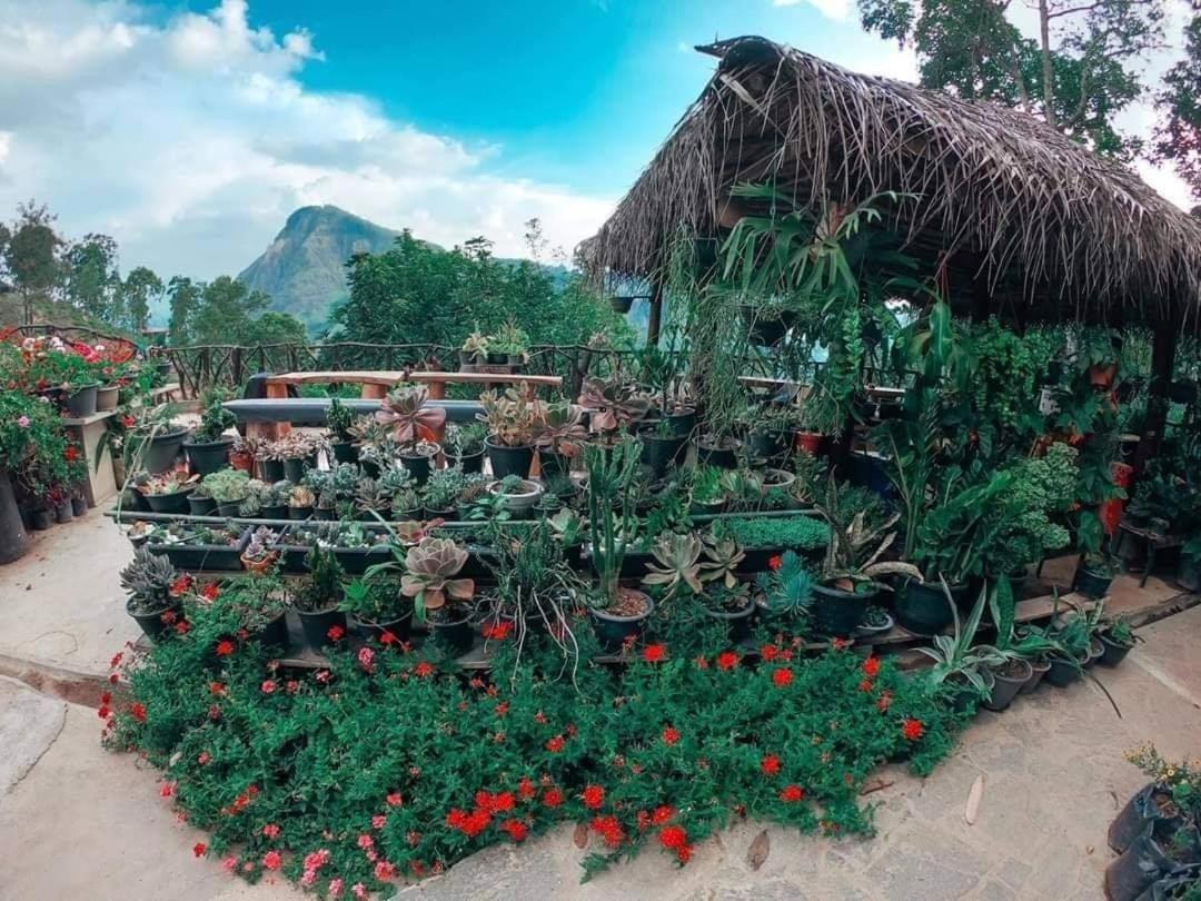 Flower Garden 4* Ella