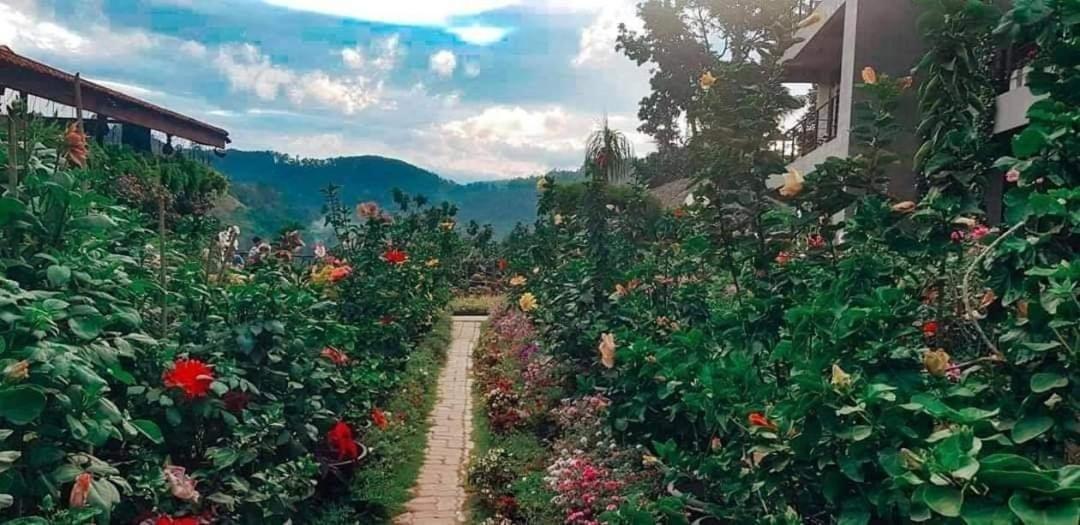 Flower Garden Ella