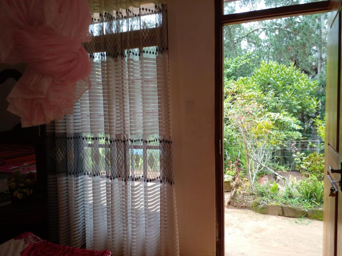 Pleasure Mount Homestay *