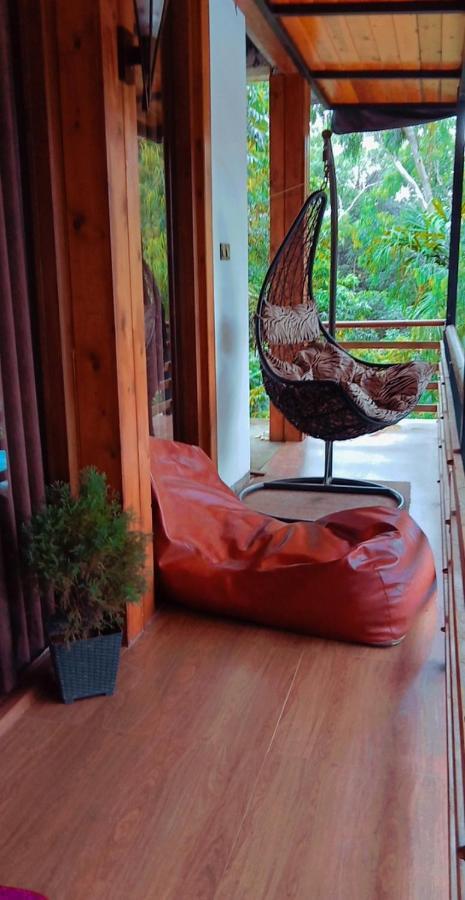Homestay Cozy *