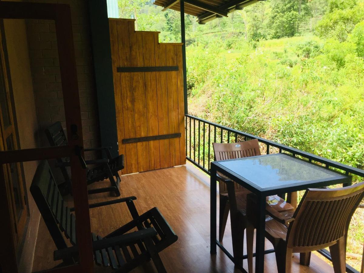 Guest house Wild