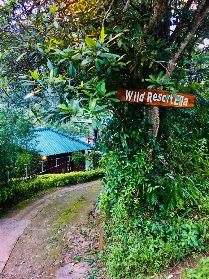 Wild Guest house Ella