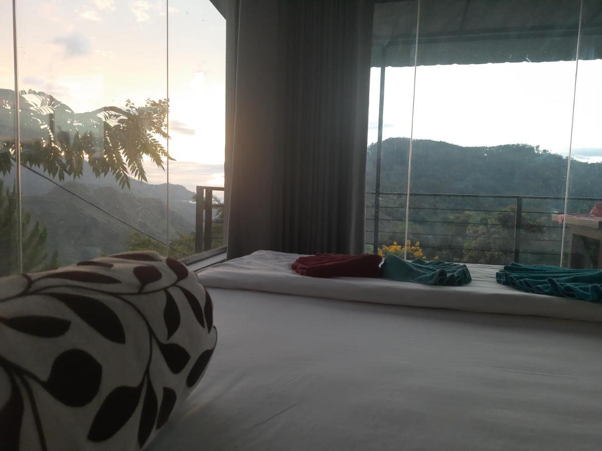Aloft View