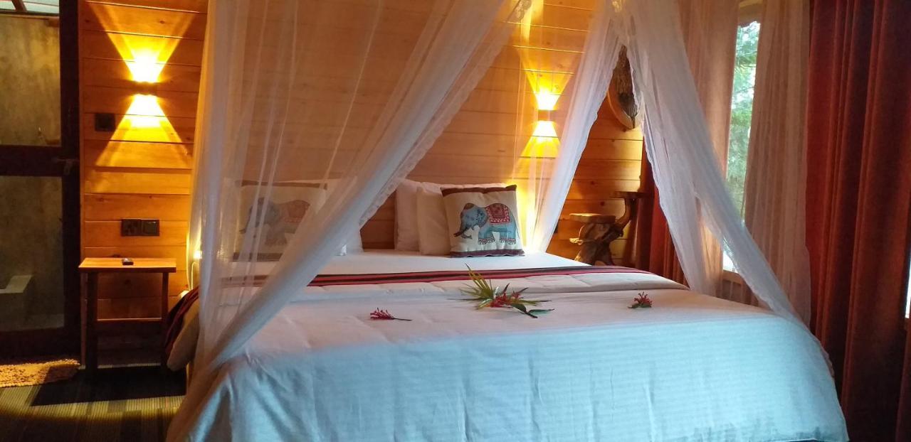 Homestay Mc Queen Ella