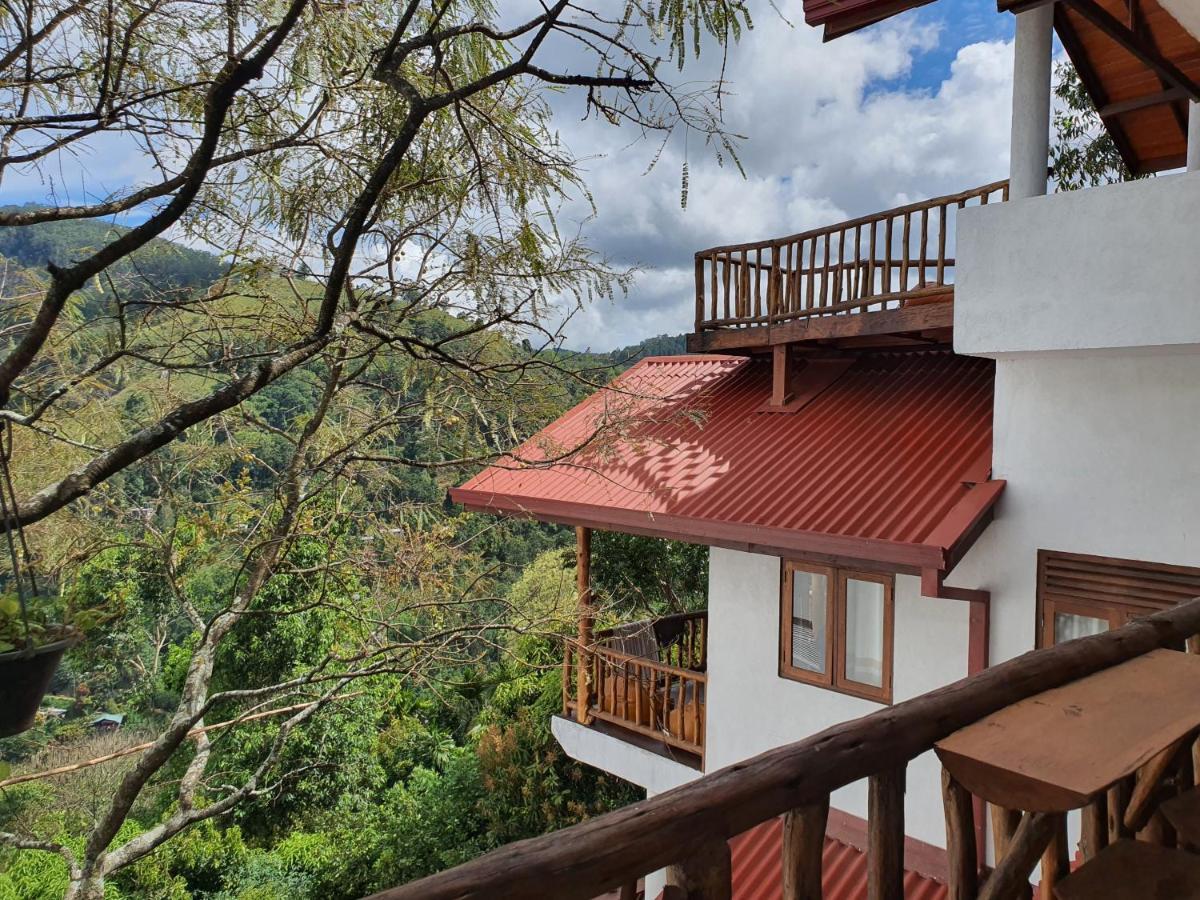 Homestay Mount View Guest
