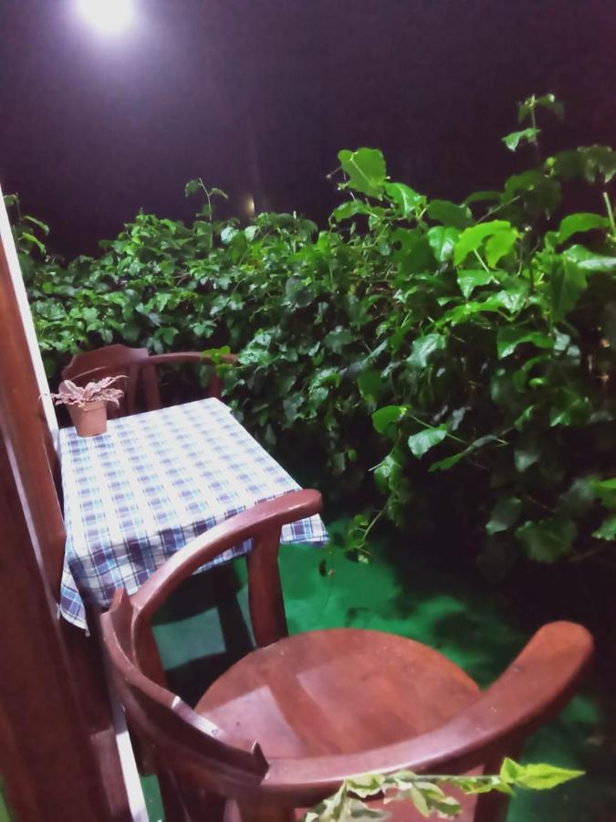 Homestay Elegant *