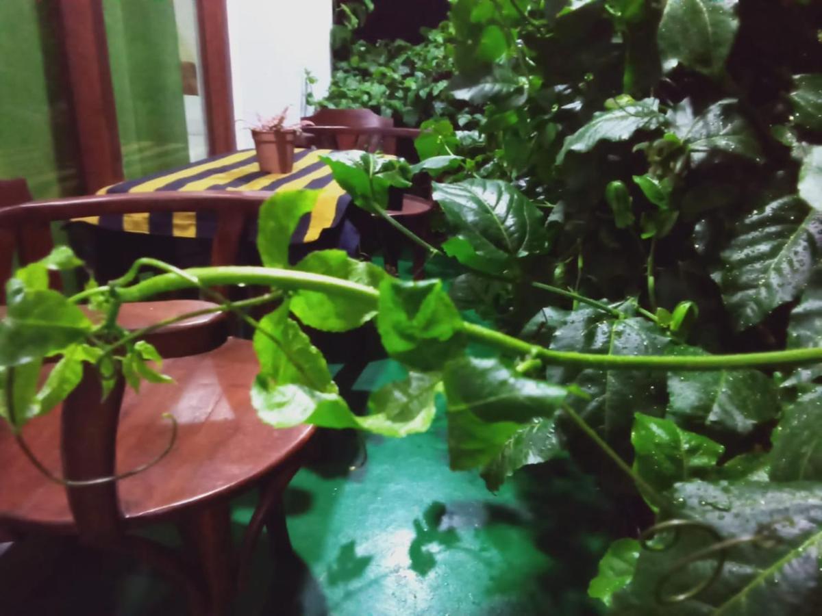 Elegant Homestay *