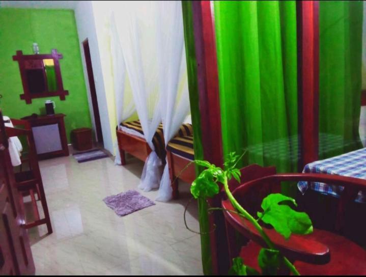 Elegant Homestay