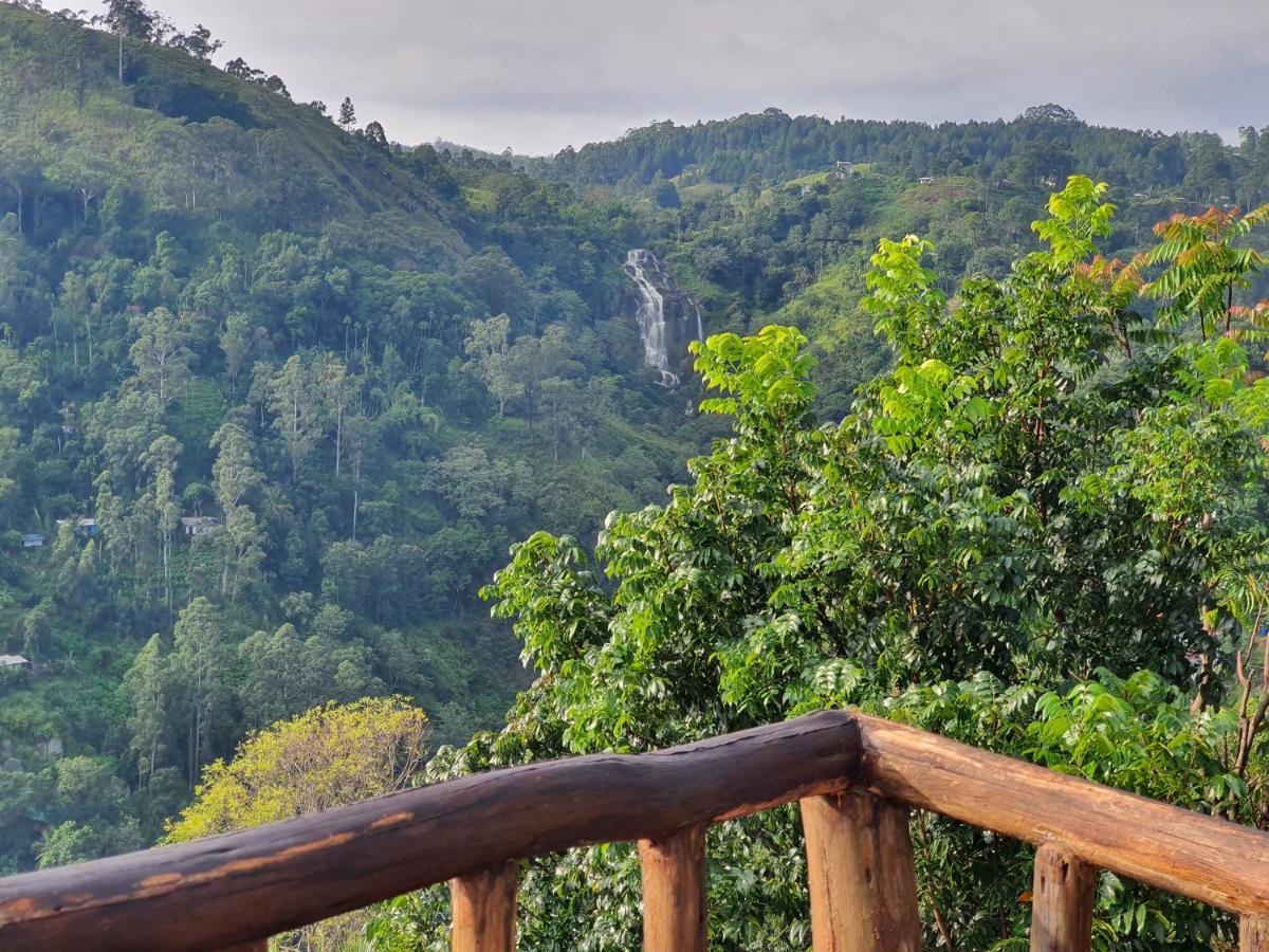 Mount View Guest Homestay *