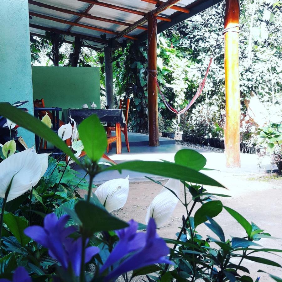 Secret Paradise *