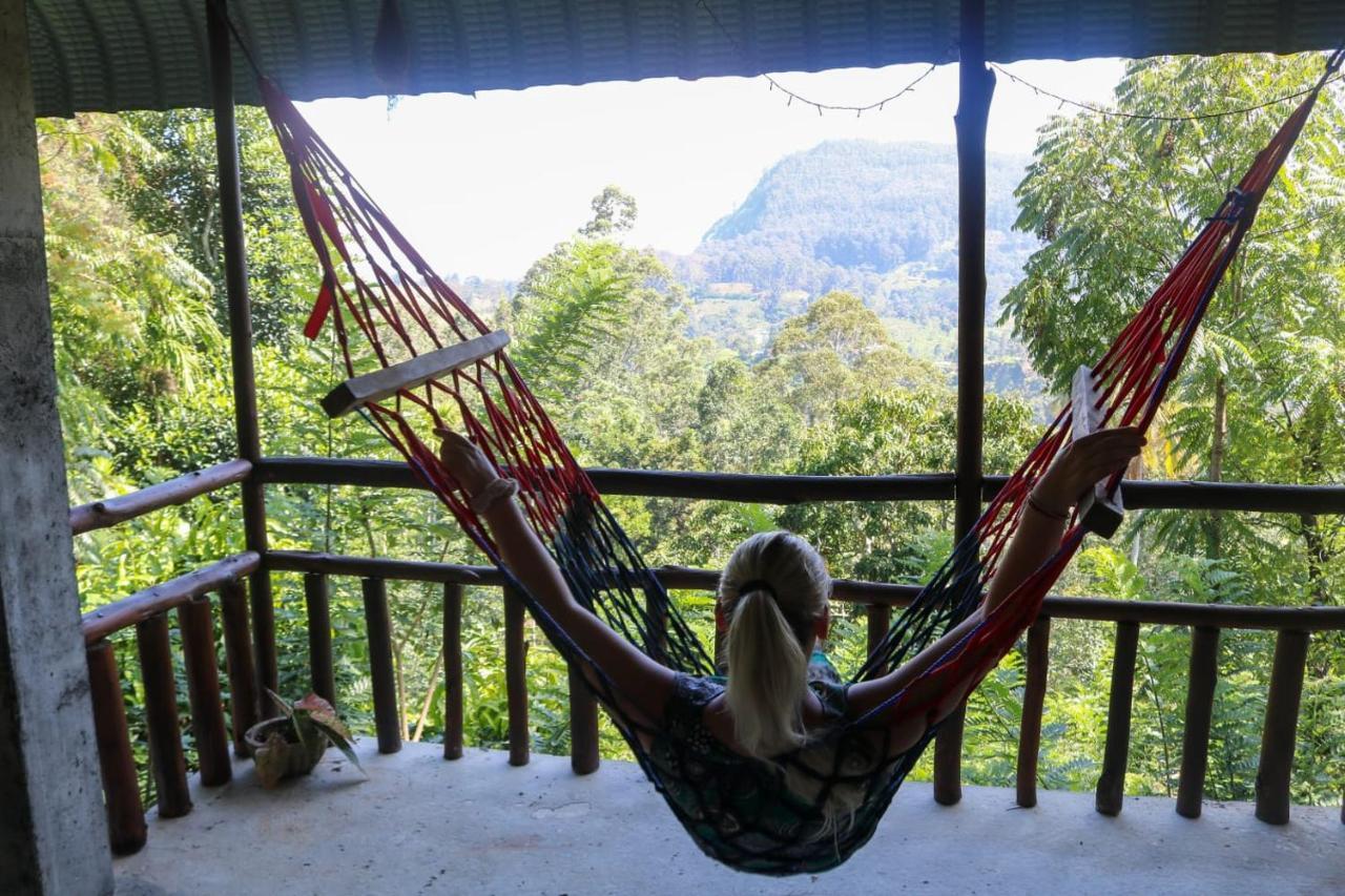 View & Restaurant Homestay Ella