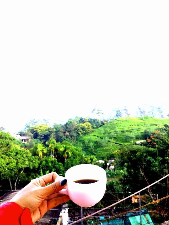 Homestay Richard Homestay *
